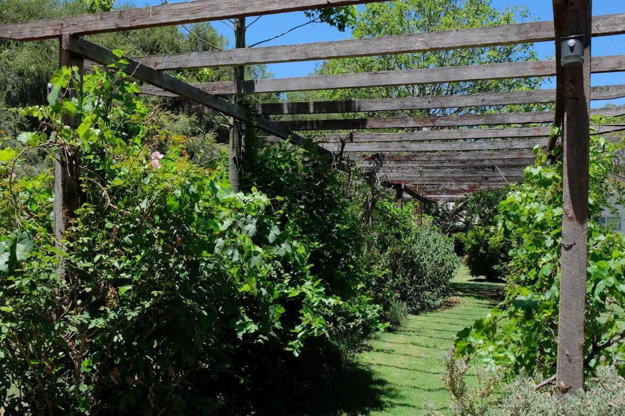 The Laurels Of Chinchilla Hotel Екстериор снимка